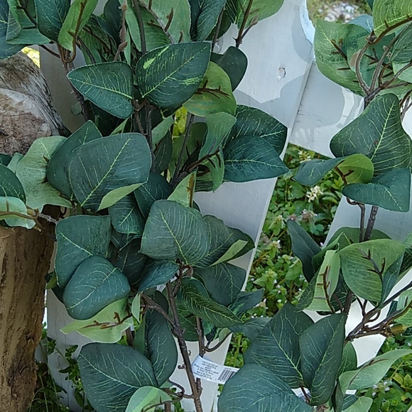 FLORALS - Picture 2 of 6